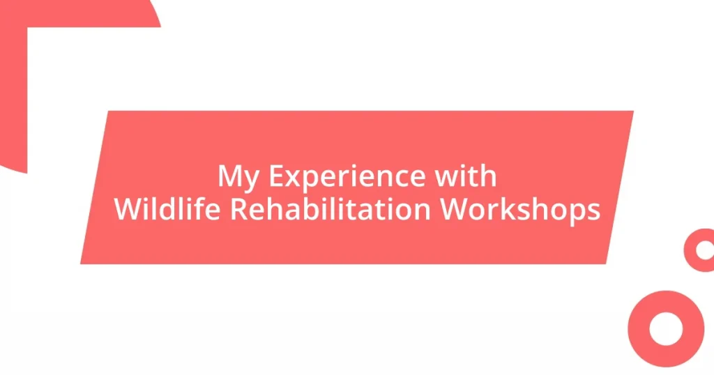 My Experience with Wildlife Rehabilitation Workshops