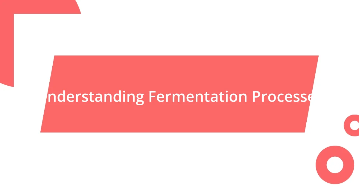 Understanding Fermentation Processes